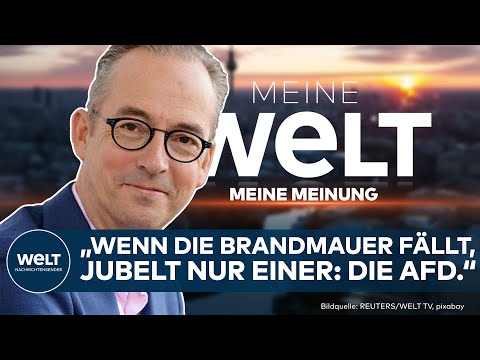 MEINUNG: Skandal, Rücktritt, Kanzler-Krise: Politik im Ausnahmezustand! | Jan Fleischhauer