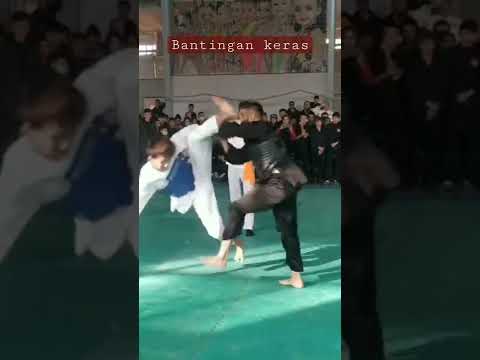 PENCAK SILAT VS TAEKWONDO