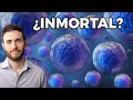 Las 5 Sustancias que FRENAN el ENVEJECIMIENTO