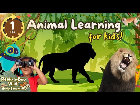 Toddler Learning | Zoo animals Names and Sounds for Kids | ZOO, FARM, PETS & More Learning Fun!