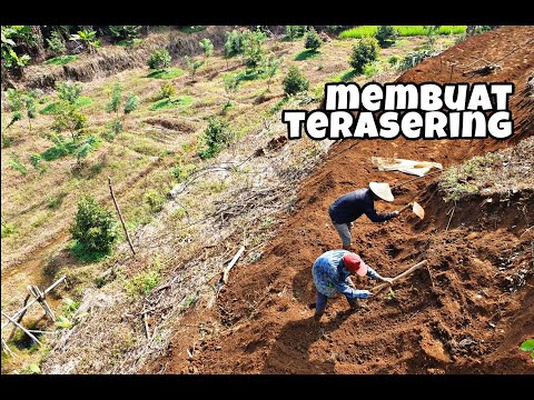 , title : 'Membuat TERASERiNG agar PEMUPUKAN Lebih MAKSiMAL'