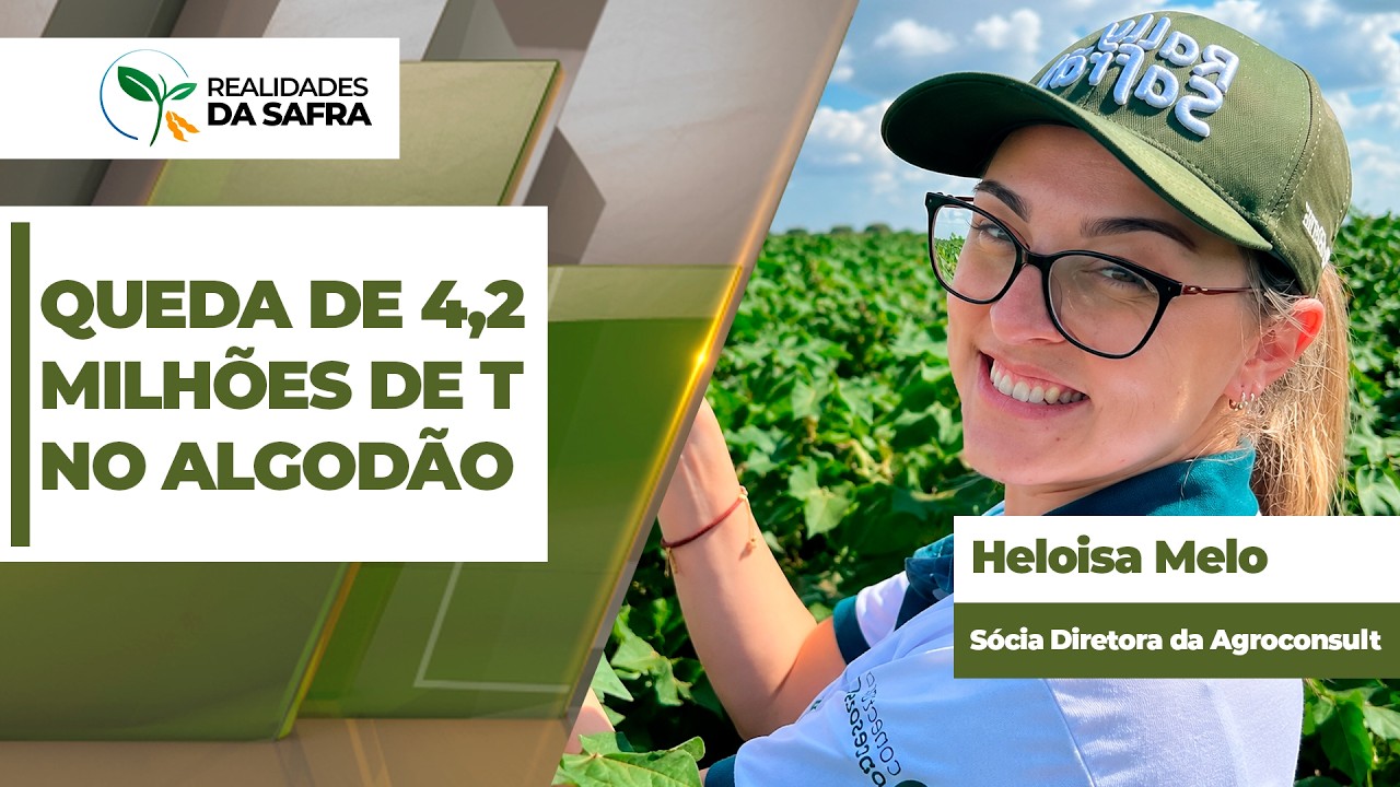 Rally do Algodão começa projetando queda de 4,2 milhões de toneladas nesta safra