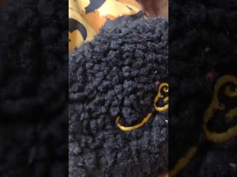 touca ed Hardy tigger