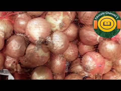 , title : '14 surprising health benefits of onions