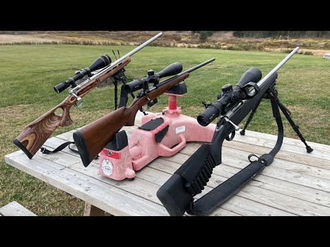 .204 Ruger Battle Savage vs Tikka vs CZ