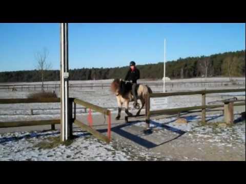 Eiður vom Kronshof DE2007134735 - 01.02.2012