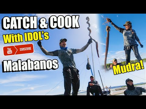 Part 2 Catch and Cook with  @Harabas  and  @WilDasovichVlogs    @HaleyTakesOntheWorld Dasofam