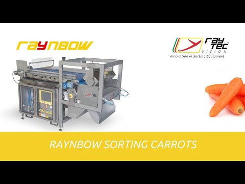 Raynbow: optical sorter for carrots | RAYTEC VISION SpA