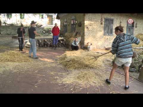 Farma 4: den 19 (19.9.)