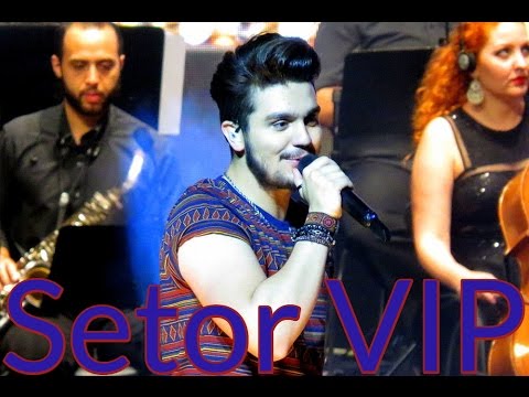 Setor VIP : :  Luan Santana canta "Eu Ando Mentindo Demais" em São Paulo (04/12/15).