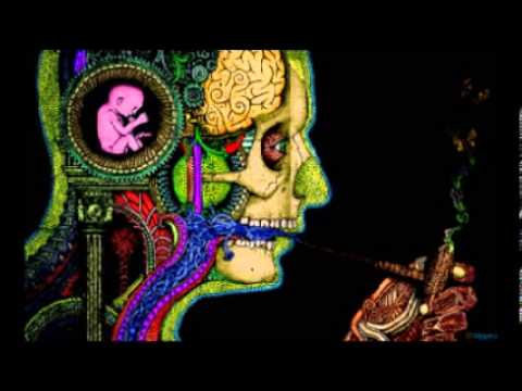 No Name - BioSpeed Vs Outer Connection ॐ