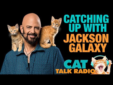Catching up With Jackson Galaxy on Cat Talk Radio