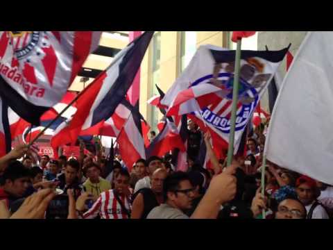 "La hinchada popular de chivas 19-abril-2014" Barra: La Irreverente &bull; Club: Chivas Guadalajara