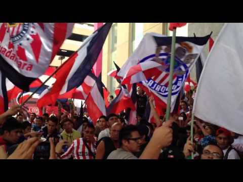 "La hinchada popular de chivas 19-abril-2014" Barra: La Irreverente • Club: Chivas Guadalajara • País: México