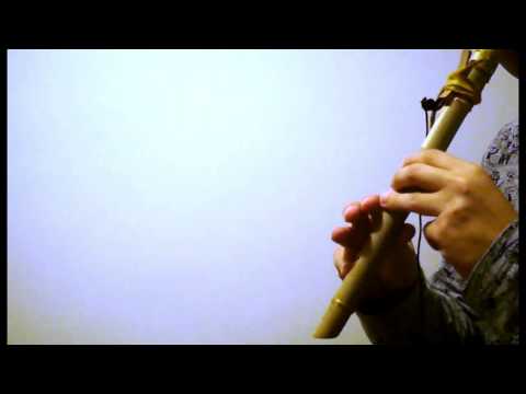 Fretwell Flutes Cane Flute in D