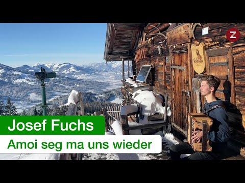 Amoi seg ma uns wieder – Steirische Harmonika 🤩