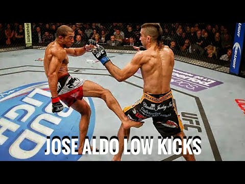 Jose Aldo's low kicks vs Ricardo Lamas