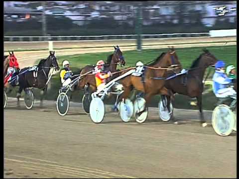 Trotto 05/02/2016 - 6° corsa