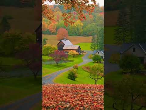 Sleepy Hollow Farm, VT | Light Rain & Falling Autumn Leaves 🍂🌧 #asmr #autumn #rain