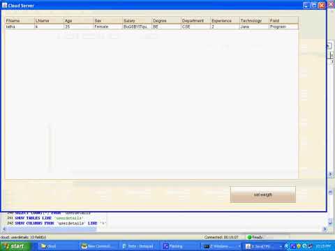 Privacy-Preserving Data Encryption Strategy for Big Data