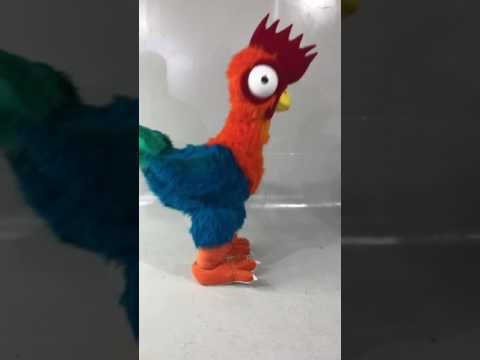 Botargas maximo gallo de moana - YouTube
