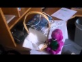 Barney School Picnic Ending