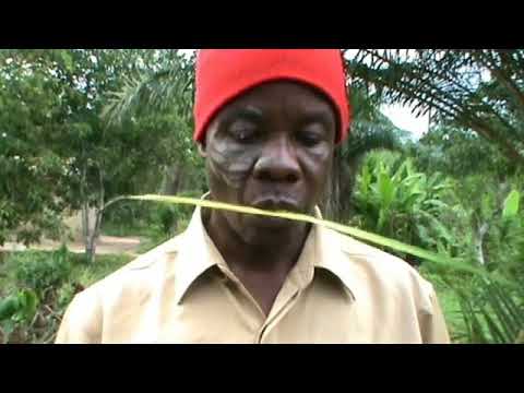 TEARS OF AGONY PART I - ALVINA Y. WINPEA - New Liberian (Lollywood) Village Movie