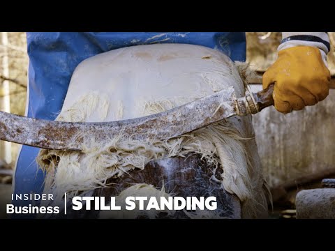 The Ancient Craft Of Parchment-Making In Western Turkey