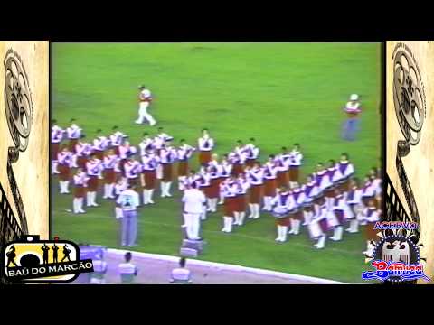 FANPET - ( CAMAÇARI - CINFANCAM 1991 ) - BAÚ DO MARCÃO
