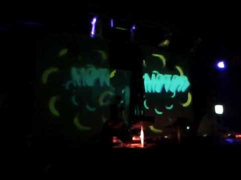 MOTORPITCH CLASH ORANGUTANKLAUS II