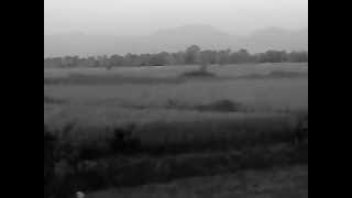 preview picture of video 'INCREDIBLE BIHAR VIEW 2 .3gp'