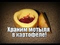 КР: Храним мотыля в картофеле! 