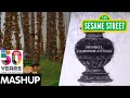Sesame Street Sunny Days Show Open Through The Years Sesame50