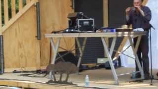 Ghedalia Tazartes Terraforma 4