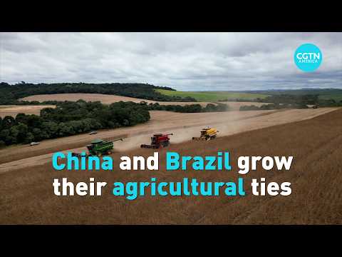 China and Brazil grow their agricultural ties