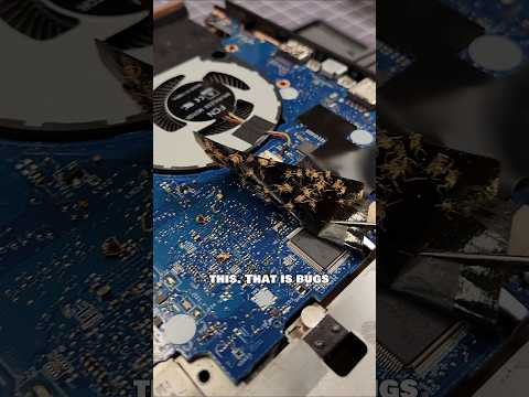 I'm Not FIXING This LAPTOP! Bed Bugs! Cat Pee! #laptoprepair #pc #tech
