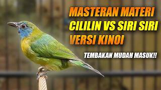 Download lagu MATERI CILILIN & SIRI SIRI! MASTERAN CUCAK KINOI GACOR FULL ISIAN   TEMBAKAN MEWAH SUARA JERNIH JEDA mp3