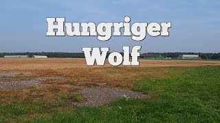 preview picture of video 'Hungriger Wolf: Ein Flugplatz mit Geschichte (SH-Podcast Nr. 117)'