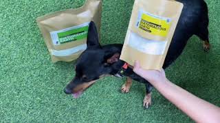 How To Use DE on your Dogs to Prevent Fleas and Ticks - DENutrients Diatomaceous Earth