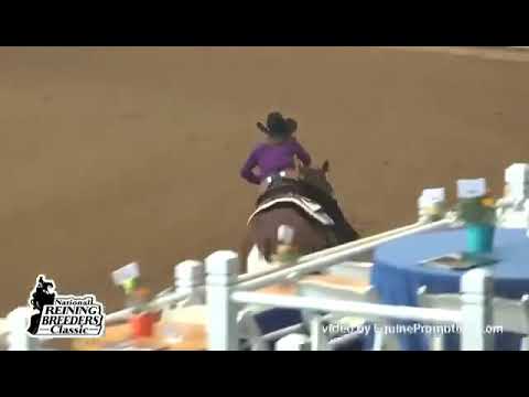 MJ ROOSTERS GUN Colonels Smoking Gun x Gallo Del Blanco (Gallo Del Cielo)