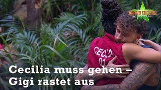Tränen und Wut beim Abschied von Cecilia | #14 | Dschungelcamp 2023