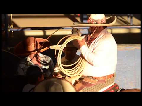 Miguel de la Hoya Campeon del Pialadero 2014