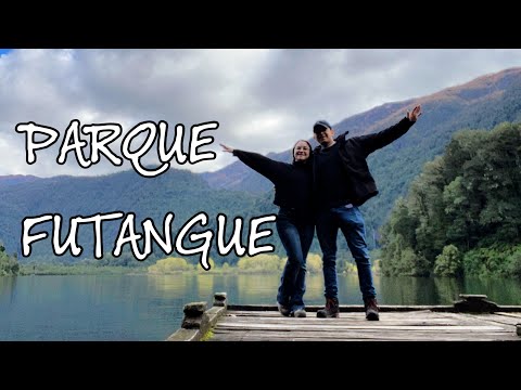 Parque Futangue | Laguna Pichi | Lago Ranco | Vacaciones en otoño | Recorriendo el sur en Auto
