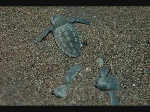 VINTE E SEIS HOTEL.wmv