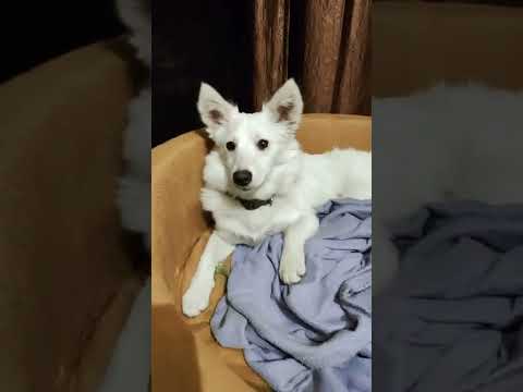 🥰🥰😍😍♥️♥️😘😘