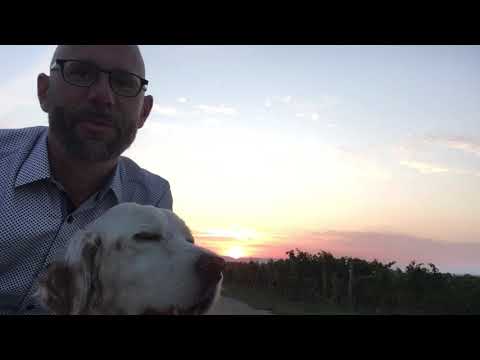 Vertrauen in Ungewissheit