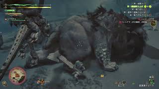 【MHWs】会長のモンハンワイルズ冒険記 #09
