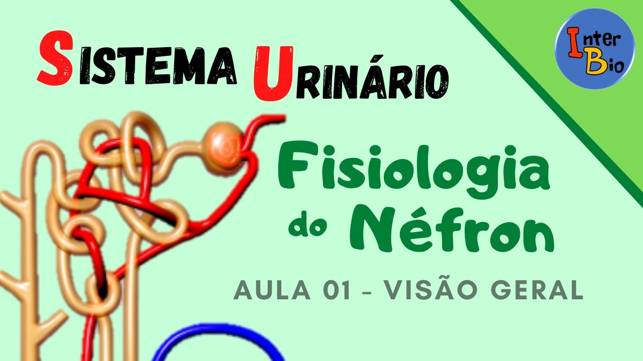 Fisiologia do Néfron - Aula 01 - Visão Geral