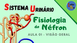 Fisiologia do Néfron - Aula 01 - Visão Geral