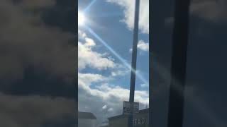 Download lagu Alicorn Bestiario medieval – Winged unicorn sighting #Short mp3